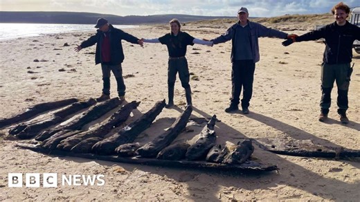Timbers from 17th Century shipwreck appear on Dorset beach