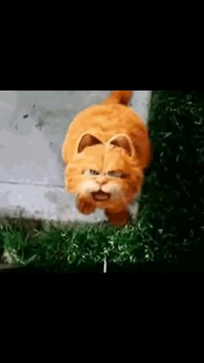 Im back (im not) #booz #boozmoment