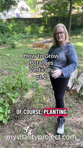 How to Grow Potatoes Vertically pt.2