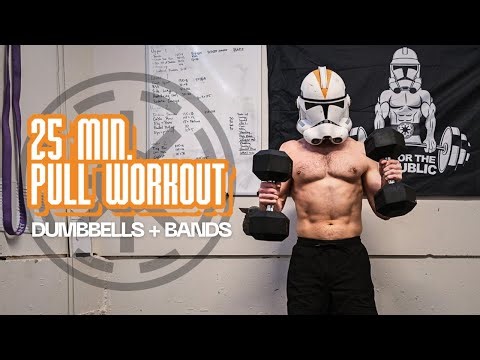 25 Min DUMBBELL + BAND PULL DAY WORKOUT | Strong Back + Biceps | 212th: DAY 22