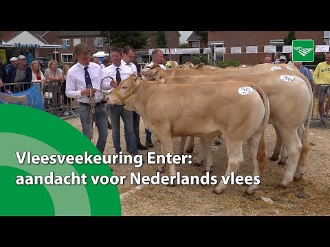 Vleesveekeuring Enter: aandacht voor Nederlands vlees