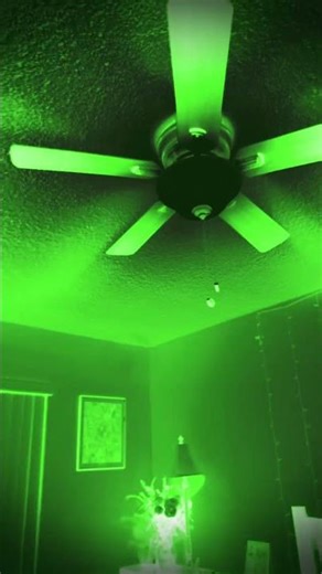 Do not turn off the lights