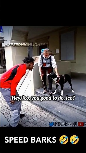 Dog confused after iShowSpeed Bark😂
