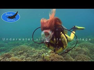 0527_Woman diving over coral reef with open hair flowing in the current, 4K underwater footage