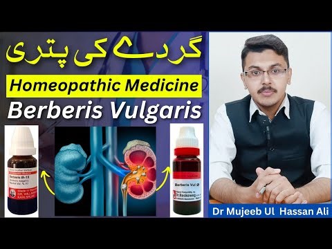 Kidney Stone Homeopathic Medicine - Berberis Vulgaris Q Homeopathic Medicine Uses