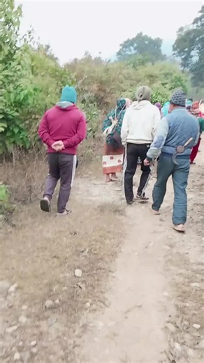 #Bardaghat #muser #goviralvideo #🌎🌙🌞 #💒🤳🥀🙏❣️💐❣️ 2082'9'21 g magesakartiko lagi daura pat tipna gko ramailo pal💒💒🫶👍💪❤️💪💕😘@Tul Bahadur Saru Mag @Only z√xu Gammer @C... 🧿 @sangita mgr @Devi kala Magar