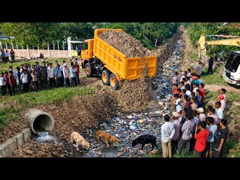 First Start Perfect New Project!! Complete100% Delete Foundation In Box by Dozer D31 & 8-TDump