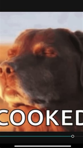 POV trying to cheat on your math homework