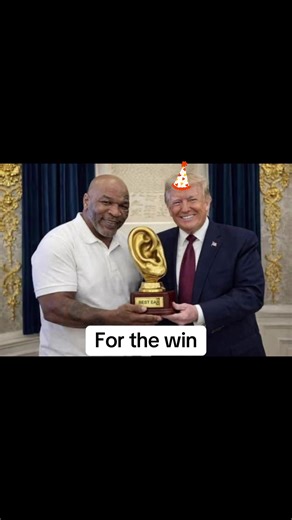 Julie Teicher (@julieteicher)’s videos with Boxing Bell Start Round (Fight Match Boxer Ring Ringing Chime Chiming Competition Noise Clip Sound Effect) - Finnolia Sound Effects