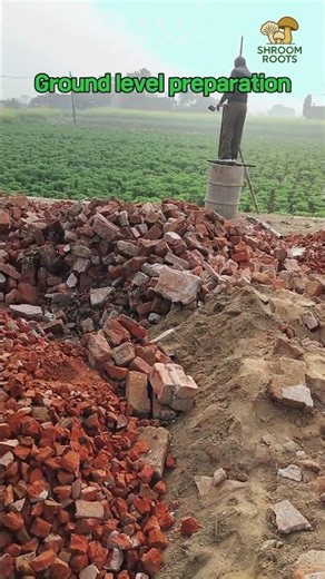 Day 14 | Building Our ₹1 Cr+ Mushroom Farm | Ground level preparation