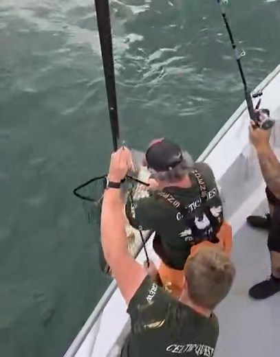 🔥50lb Bass!! Here's a cool video of the biggest bass I've ever seen on a diamond jig!!!! Over 50 inches long!!!! You just never know what will happen! Even on a slow trip, the fish of a lifetime could be waiting!🦈🦈🦈 #stripedbass #trophyfish #celticquest #portjefferson #Wow | Celtic Quest Fishing Fleet