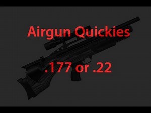Airgun Quickies - Which is best 177 or 22