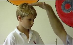 Primary Maths: Data Handling