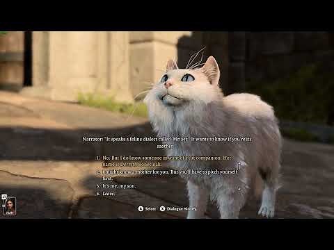 Average speak with animals interaction in BG3