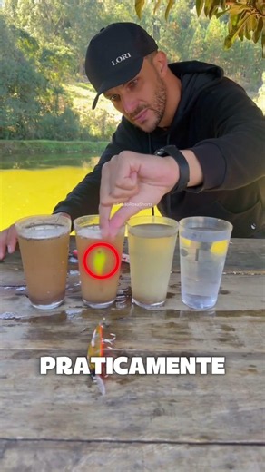 O Segredo do Anzol Que Todo Pescador Deveria Saber