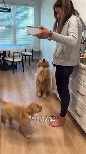 Intentional Eating… For Your Dogs! 🦮✨🥩 | Mindful Dog Meal Prep