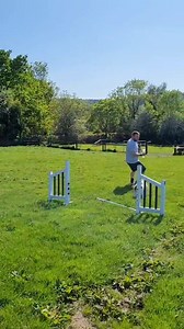 Let's go......🏃‍♂️ Bulldog Has ability at agility! | Pumpkin & Lord Farquaad and memories of the Daddy Prince