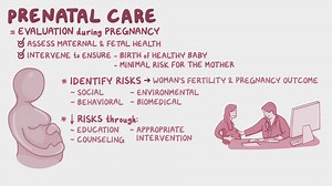 Video: Routine prenatal care: Clinical - Video Explanation! | Osmosis | Osmosis