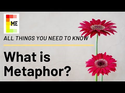 What is Metaphor? All things you need to know!