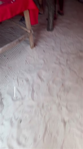 📍 Zanzibar, ferie… ma il mercato mi chiama 😂 La mia amorosa: 👉 “Michele ma cosa stai facendo?!” Io: 👉 “Niente… sono qui col mio amico Masai che sto sistemando il banco… 🛍️😅 Anche a 10.000 km da casa non riesco a stare lontano dal mercato. È più forte di me 🤷‍♂️ 🧺 Dentro o fuori dall’Italia… Michele Biancheria Casa sempre operativo #zanzibar #vitadamercato #ferie #commerciantepersempre #michelebiancheriacasa | Michele Biancheria Casa