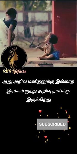 Be kind to all Self motivation speech Lifefacts #inspirational #lifefacts #shorts #trending