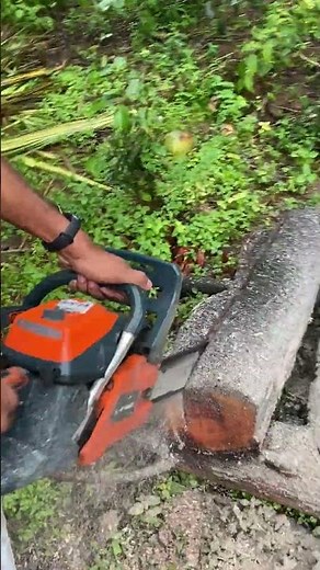 The Secret to Cutting Thick Logs Like a Pro with a Chainsaw