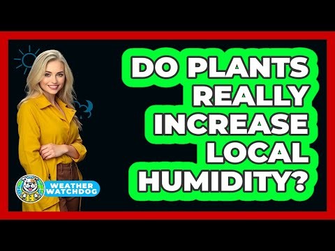 Do Plants Really Increase Local Humidity? - Weather Watchdog