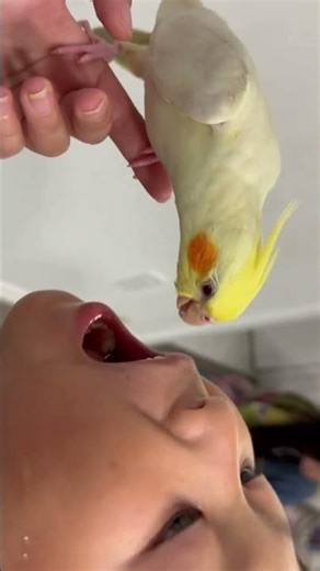 Trying to remove the wiggling teeth ￼