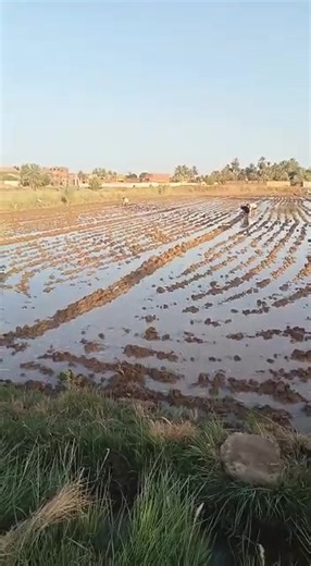 4.6K views · 14 reactions | 01003677232 01010766047  متاح حجز...