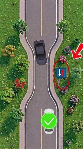 🚗 Narrow Road Priority Rules | Who Goes First? ⚠️ #driving #dmv #tips #shorts #youtubeshorts