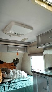 10 Reasons Every Pet Owner Needs the HomeFi Smart Pet Tracker If...