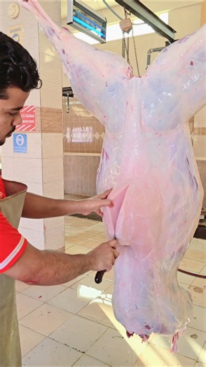 #amazing #camel #cuttingskills #shorts #foryou #viralvideo