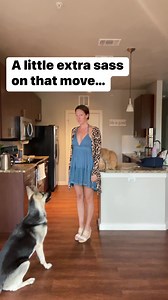 464K views · 1.1K reactions | The look I gave her after this.  #dog #puppy #dogmom #dogmomaf #gsd #germanshepherd #funny #cute #viral #video #fbreels #fbreel #puppylove #dogmomlife #dogtraining #bloopers | Lora Harris | Facebook