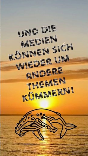 Timmy - hoffentlich findet der Buckelwal seinen Weg und seine Ruhe!