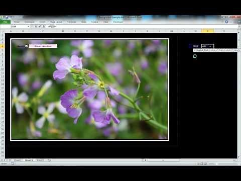 How to Change the Color of Text When You Check a Check Box In Excel 2010