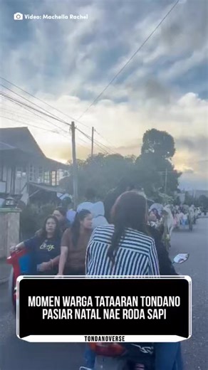 Momen Warga Tataaran Tondano Pasiar Natal Nae Roda Sapi, Tradisi yang nda mo ilang kalo so natal deng tahun baru di tataaran tondano. . . 📹: Marchella Rachel | Tondano Baombong