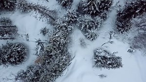 Terrifying. The season premiere of #AlaskaTheLastFrontier is on tonight at 9p ET on Discovery. | Alaska: The Last Frontier