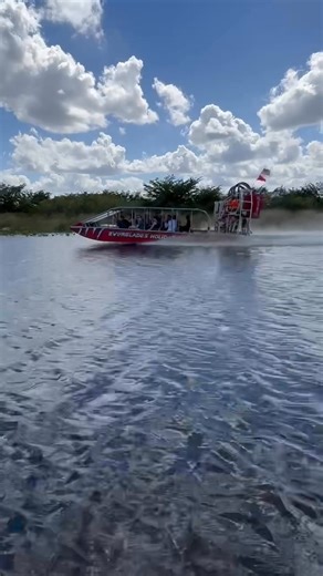 6.4K views · 83 reactions | Riding Glade Runner through the...