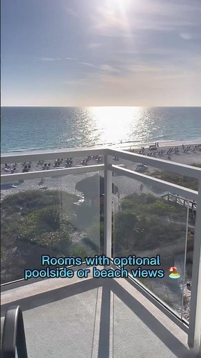 Dog-Friendly Resort in Siesta Key, FL 🏖️ Zota Beach Resort