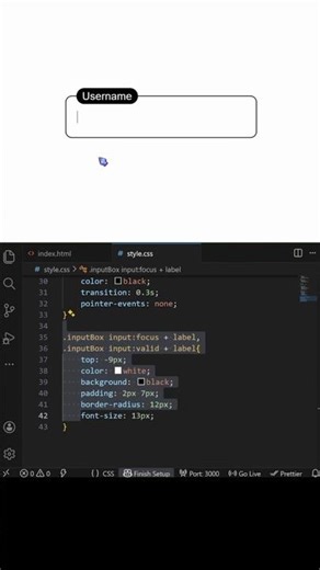 Username style by HTML, CSS #coding #programming #developer #programmer #programmers #webdesign