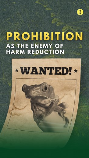 Medicine Frog Kambo on Instagram: "Kambo is one accident away from becoming illegal. And history shows what happens when we prohibit a substance instead of educating about it: It gets pushed underground. That doesn’t make people safer — it makes the risks bigger. Only the most risk-tolerant providers keep serving, and people become afraid to seek medical help when something goes wrong. Prohibition doesn’t prevent harm. Education, transparency, and responsible practice do This is why it is more i