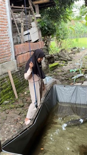 Ikan Toman Monster Ku Ngamuk Ke Bocil Nakal #toman #tomanmonster #bocil #nakal #dramabocil #ngamuk