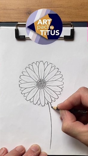 Desenează o margaretă - Tutorial de desen cu flori #margareta #flori #dasy