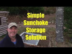 How I Store My Sunchokes