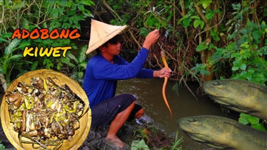 Catch and cook Asian swamp eel Ilocano adobong kiwet