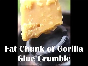 5.5K views · 56 reactions | Fat Chunk of Gorilla Glue Crumble | Only Dabs | Facebook