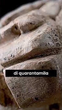 Lost Myths: The Enigma of Origins