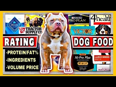 Best Dog Food Review