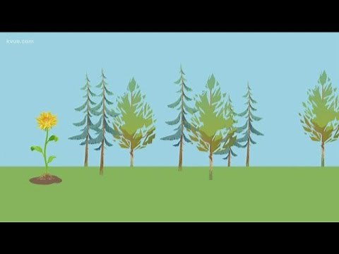 Do April showers bring May flowers?