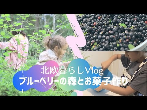 [Blueberry Picking in the Nordic Forest] Making Sweets with Freshly Picked Berries | Nordic Life ...